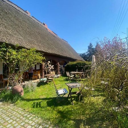 Fischerhaus Galenbeck Bed and Breakfast Exteriör bild
